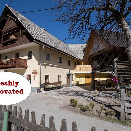 Farmhouse Pri Miklavu Бохинь Экстерьер фото