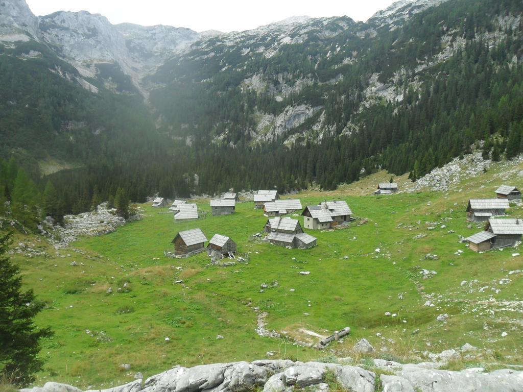 Farmhouse Pri Miklavu Бохинь Экстерьер фото